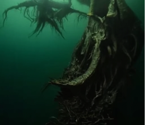 Kraken, tous les films inspirés du monstre de légende